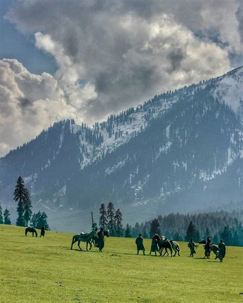 Kashmir tourism Srinagar travel Gulmarg adventure Pahalgam trekking Houseboats in Dal Lake ...