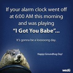 190 Best Groundhog Day ideas in 2024 | groundhog day, groundhog, happy groundhog day