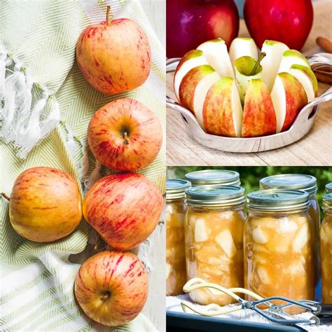 Canning Easy Apple Pie Filling Recipe for Pies, Crisps and Pancakes