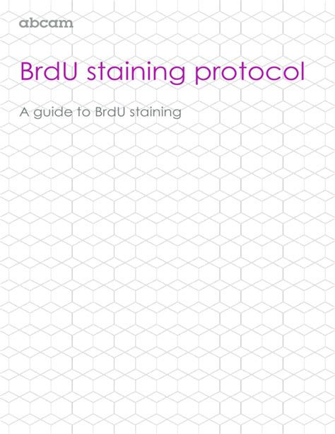 BrdU staining protocol A guide to BrdU staining