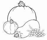 Free Printable Thanksgiving Pumpkin Coloring Pages sketch template