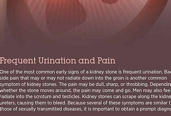 Kidney Stones: Symptoms, Causes & Treatment - Paperblog