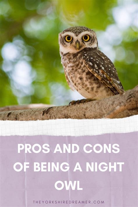 Discover the pros and cons of being a night owl in this blog post. Night Owl, Posts, Discover ...