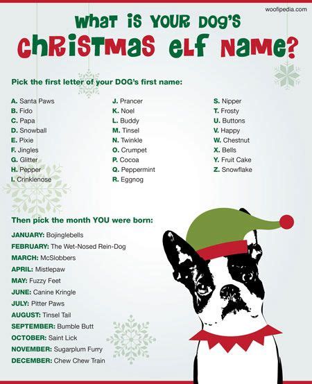 What is Your Dog’s Christmas Elf Name? | WOOFipedia by The American ...