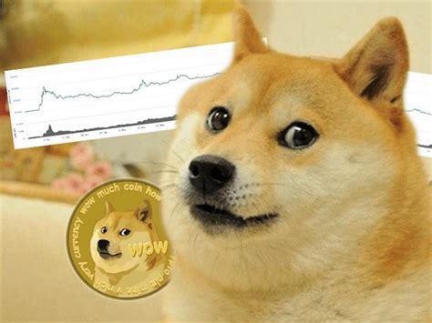 What is Dogecoin? Should you buy it now? - TechStory