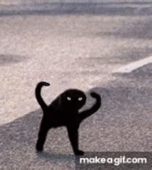 Cursed cats on Make a GIF