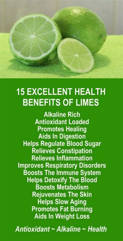 15 Excellent Health Benefits Of Limes. Learn about Moringa's alkaline rich, antioxidant loaded ...