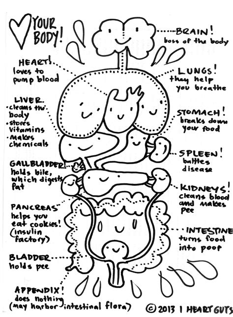 Anatomy Coloring Page – I Heart Guts