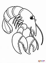 Lobster Coloring Pages Printable For Free Download sketch template