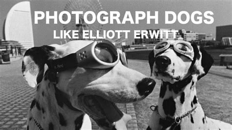 Elliott Erwitt Archives - DIY Photography