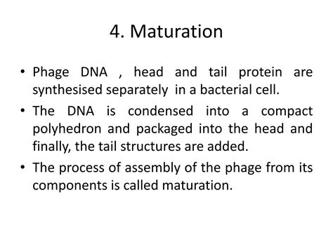 Structure of virus | PPT