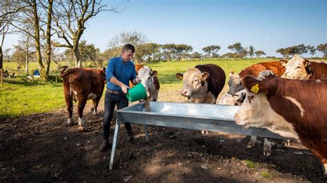 Brits back UK farming with greener shopping habits | Barclays