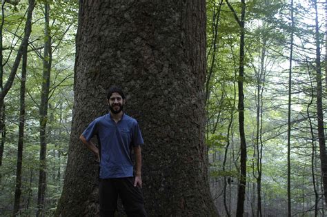 Photo from the Road: Joyce Kilmer Memorial Forest - Bohemian Traveler