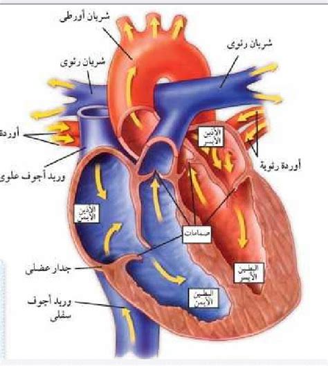 انا والعلوم