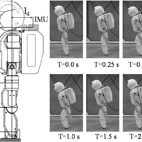 Hoap-3 Humanoid robot and its squat movement. | Download Scientific Diagram