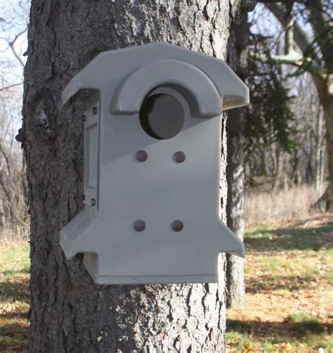 cheapmieledishwashers: 21 Images Screech Owl Nest Box Placement