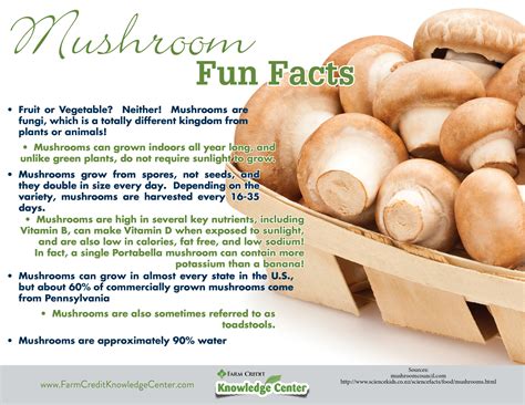 All About Mushrooms | Farm Credit of the Virginias