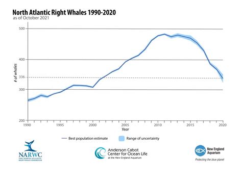 North Atlantic Right Whale Population Continues To Fall | Country 94