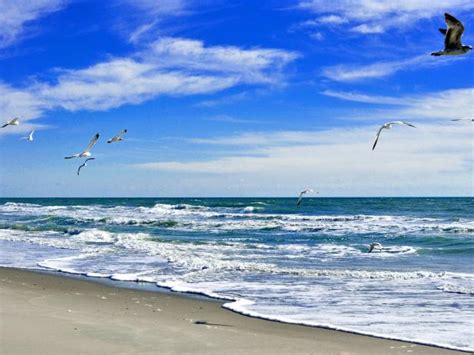 Florida’s East Coast Beaches | Travel Channel