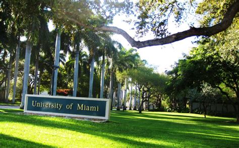 umiami - International Business Degree Guide