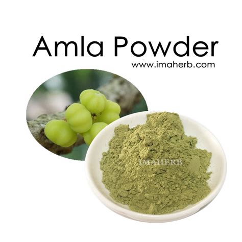 Factory Supply Natural Amla berry Extract Powder/Amla Extract Powder ...