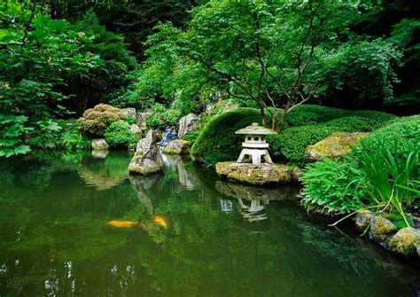 Japanese Rose Garden Portland, OR | Japanese garden, Rose garden ...