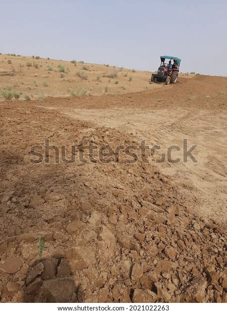 Photo de stock Culture du désert de Thar champs 2021022263 | Shutterstock