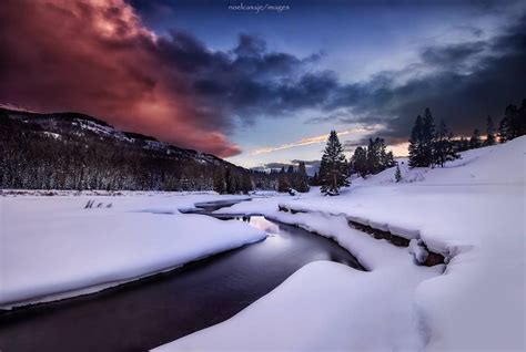 Winter's Light by Noel Casaje in Lamar Valley Yellowstone | Lamar valley, Yellowstone, Grand ...