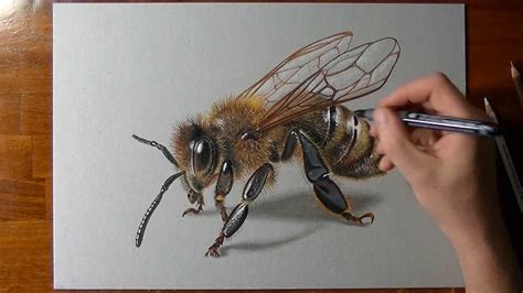 Drawing Bee - 3D Illusion Art - YouTube