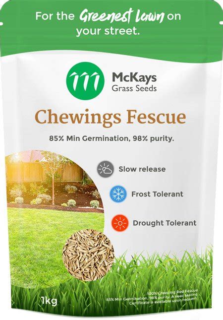 Chewings Fescue Seed - McKays Grass Seeds