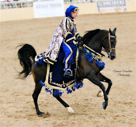 Scottsdale Arabian show February 2014… Photo by Vanessa Vermillion-Meza… http://on.fb.me/1jbPFZX ...