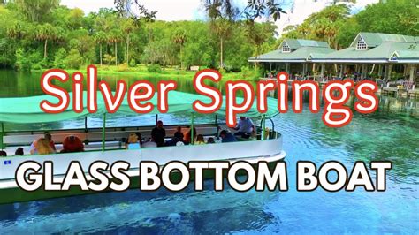 We Road The Glass Bottom Boat Tour in Silver Springs FLORIDA STATE PARK ...