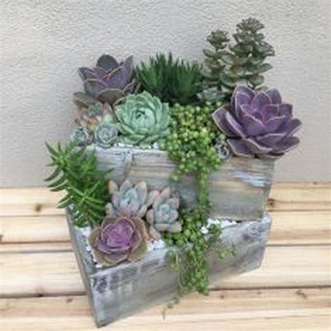 Garden Inspiration | Succulent garden design, Succulent garden indoor ...