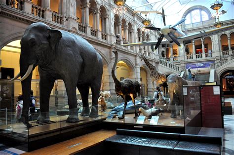 File:General internal view. Kelvingrove Art Gallery and Museum, Glasgow ...