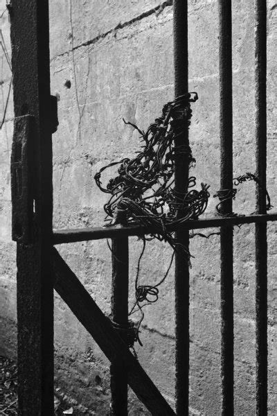 Bouquet of Barbed Wire: Essex Monochrome Group