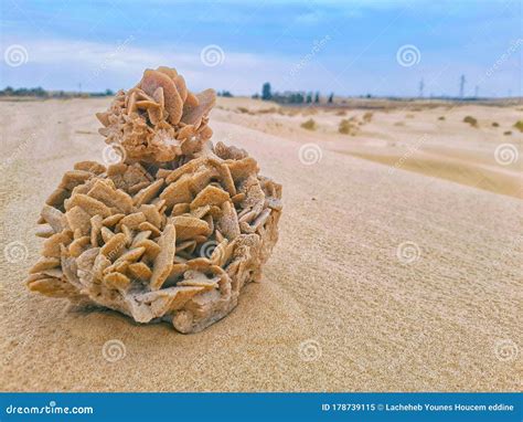 Desert Rose or Flower in Desert of Algeria Stock Image - Image of ...