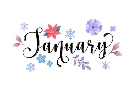 Premium Vector | Hand drawn january month lettering typography for ...