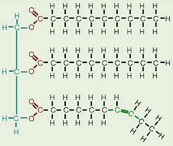 organic chemistry - Saturated vs unsaturated fats - Structure in relation to room temperature ...