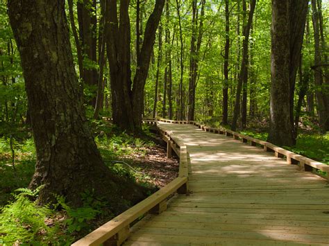 Great Bay National Wildlife Refuge – 50 Miles From Home