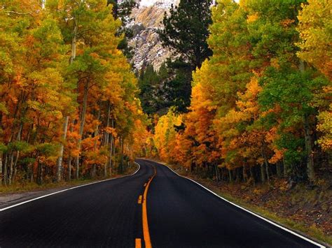 June Lake Loop in the fall. | Sierra Nevada Mountains | Pinterest