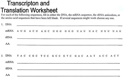 transcripton and translation worksheet for each of the following sequences fill in either the ...