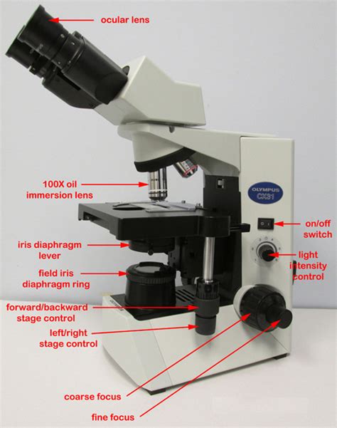 Biol 230 Lab Manual: Microscope