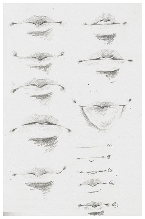 Male Lips Drawing at PaintingValley.com | Explore collection of Male Lips Drawing