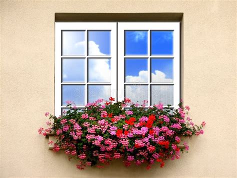 Fenster mit Blumen stockbild. Bild von reflexion, draussen - 5754657