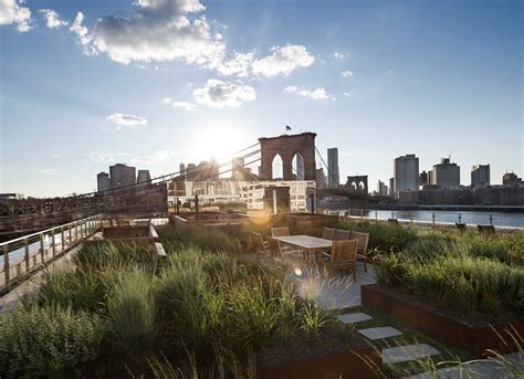 This rooftop garden in New York is like a meadow in the sky