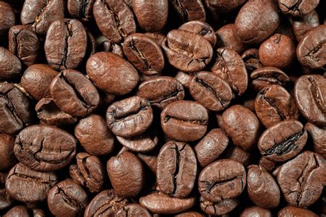 Robusta Coffee Beans: Facts, Flavors & Pictures | Coffee Affection