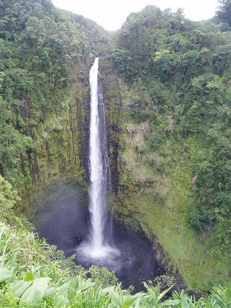 Akaka Falls State Park Sights & Attractions - Project Expedition