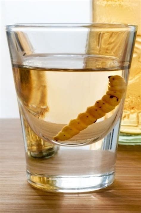 Caspost-tequila-worm | Mezcal, Mexican drinks, Tequila