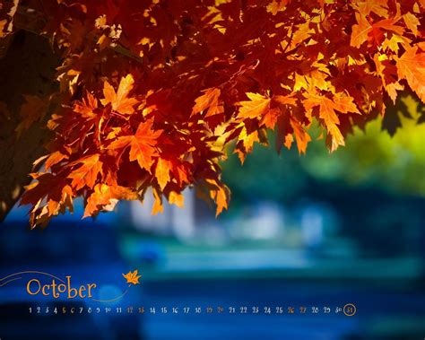 Fall Colors-October 2013 Calendar Wallpaper Preview | 10wallpaper.com