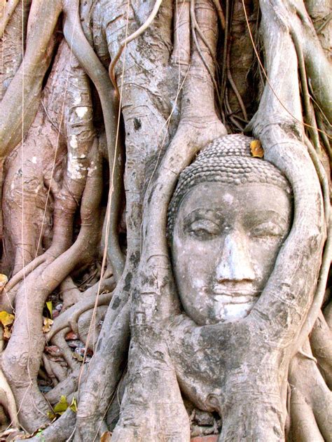 Ancient Siam: A Trip Through Thailand's Past | Live Science